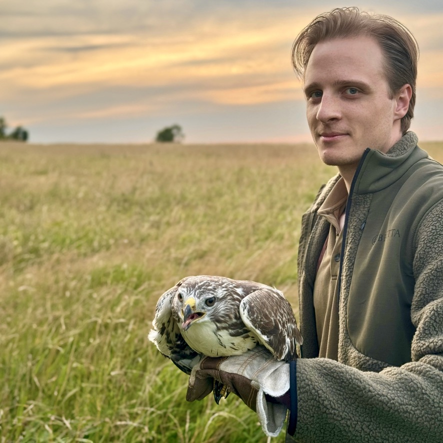Yannik Schrade releasing a young hawk after rescuing it